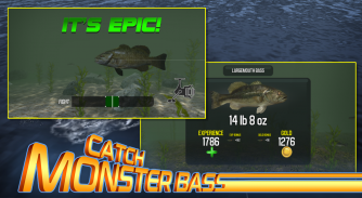 Master Bass: Fishing Games screenshot 3