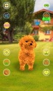 Talking Teddy Dog screenshot 3