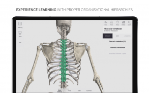 Anatomyka Skeleton screenshot 15