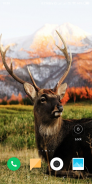 Deer Wallpaper screenshot 2