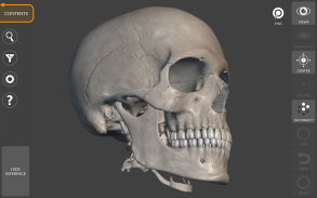 Anatomia 3D para artistas screenshot 15