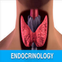 Endocrinology Guide