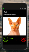 Fake Call Cat Prank screenshot 2