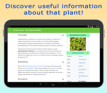 PlantID - Identify Plants screenshot 14