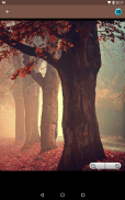 Autumn wallpapers collections screenshot 5