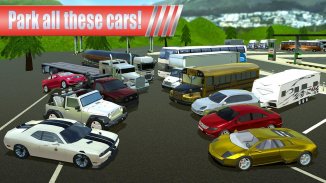 Gas Station Car Parking Game screenshot 13