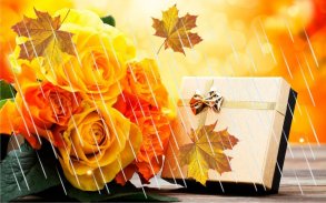 Roses Autumn live wallpaper screenshot 8