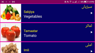 Learn Urdu From English screenshot 5