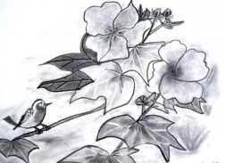 Flower Pencil Drawing Ideas screenshot 5