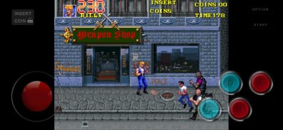 The Sacred Rosetta Stones Double Dragon 3 screenshot 2