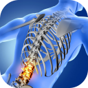 Back Pain - causes, symptoms, treatments