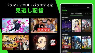 Hulu / フールー　人気ドラマ・映画・アニメなどが見放題 screenshot 9