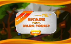 Escape From Dark Forest screenshot 4