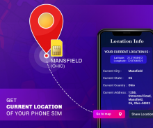 Phone Sim Location Information screenshot 0