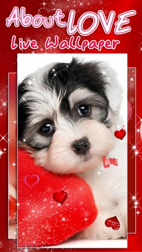 Hintergrundbilder Live Liebe Schone Bilder 2 10 Download Android Apk Aptoide