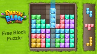 PUZZLE BLOCK BANG screenshot 1