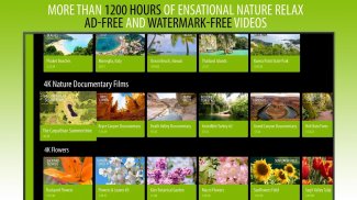 Nature Video Maker - Crie vídeos 4K de relaxamento