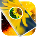 Sun Flower Clock Live Wallpaper Icon