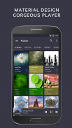 Trình phát nhạc Pulsar - Pulsar Music Player screenshot 0