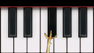 Chicken Piano screenshot 0