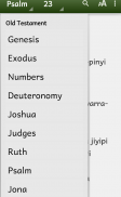 Warlpiri Bible OT portions and New Testament screenshot 0