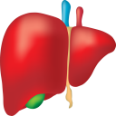 Hepatitis B Interactive