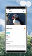 Lookuq Lens - Object Detection and Recognition screenshot 2