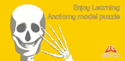 E. Learning Anatomy puzzle