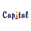 Capital Investment icon