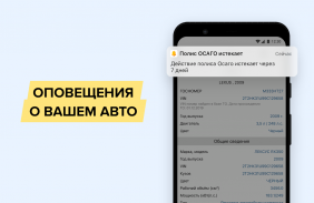 Проверка авто – База ГИБДД РФ screenshot 0