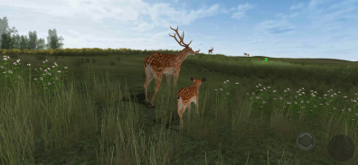 Life Of Deer Remastered screenshot 7