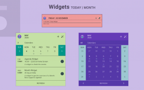 Everyday - Calendar Widget screenshot 3