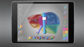 Surgical Anatomy of the Liver screenshot 5