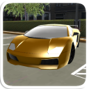 Supercar Parking Valet Boy Icon