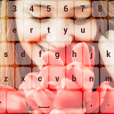 Photo Keyboard Theme Changer