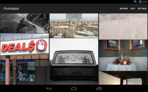 FlickRabbit screenshot 4
