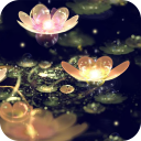 Lotus Lantern Live Wallpaper