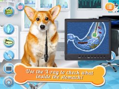 Dog Games: Pet Vet Doctor Care screenshot 0