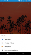 Sunset Wallpapers from Flickr screenshot 7