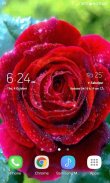 Rose Beauty Live Wallpaper screenshot 1