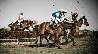 Horse Racing Wallpapers screenshot 1