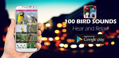 100 Bird sounds