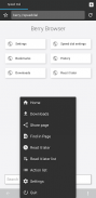 Berry Browser screenshot 5