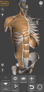 Anatomia per l'Artista 3D screenshot 12