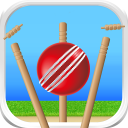 Cricket - Defend the Wicket - Baixar APK para Android | Aptoide