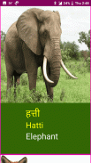 Learn Marathi Wildlife and Body Parts Names screenshot 15