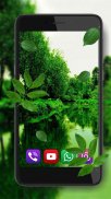 Forest Songs live wallpaper screenshot 7