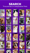 Petfinder - Adopt a Pet screenshot 2