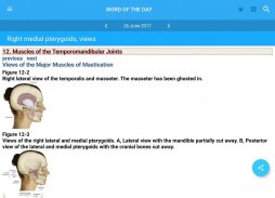 The Muscular System Manual screenshot 11