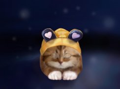 Toffee Cute Kitty Live Wallpaper screenshot 4